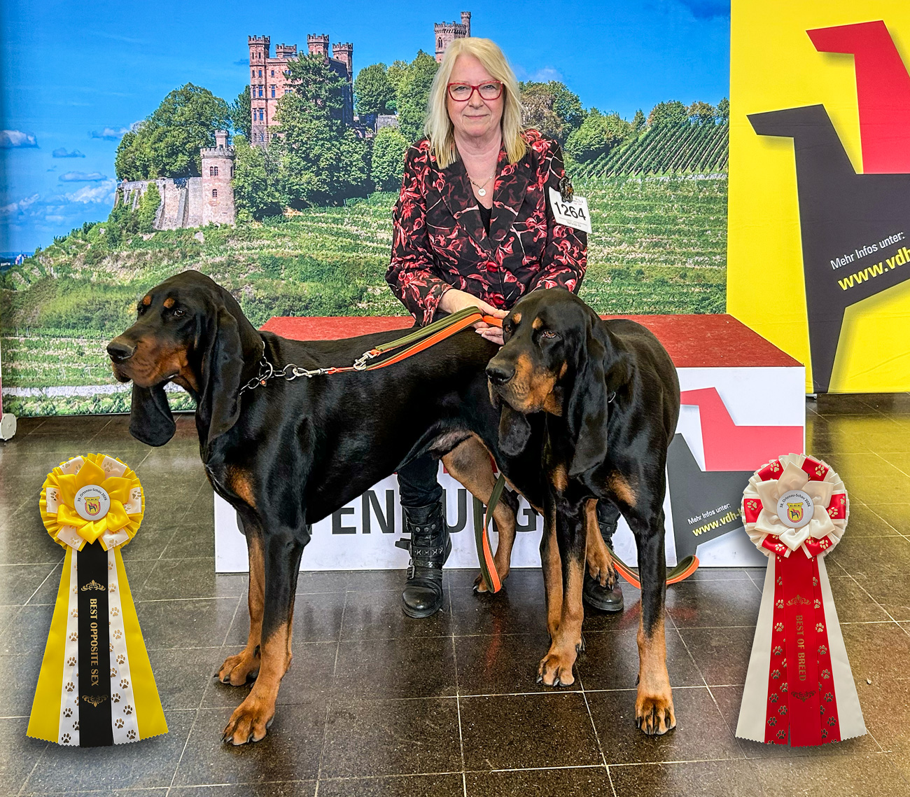 Bada Boom und Aragon