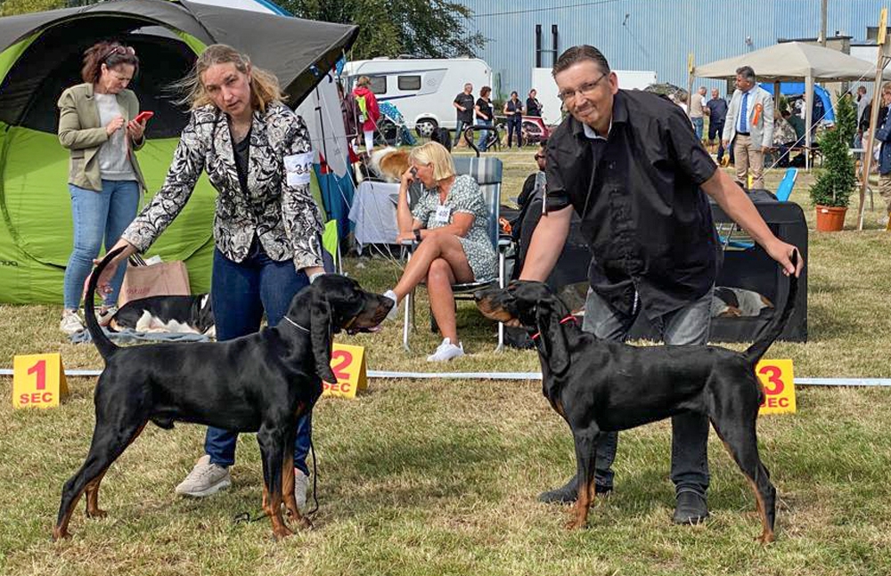 CACIB Herve (B), Moos und IXI, Bruder und Schwester, BOB und BOS