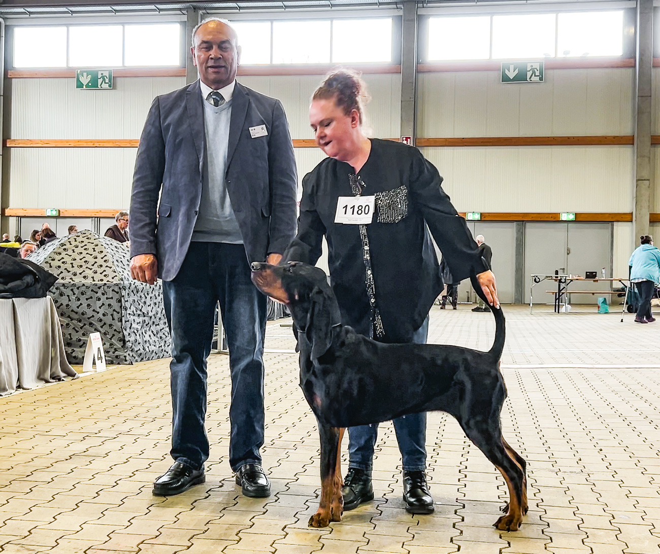 CACIB Kassel Cunninghams Al Dente