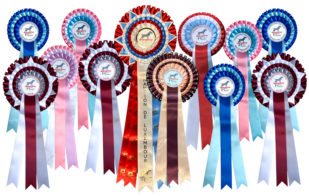 Luxembourg-Schleifen